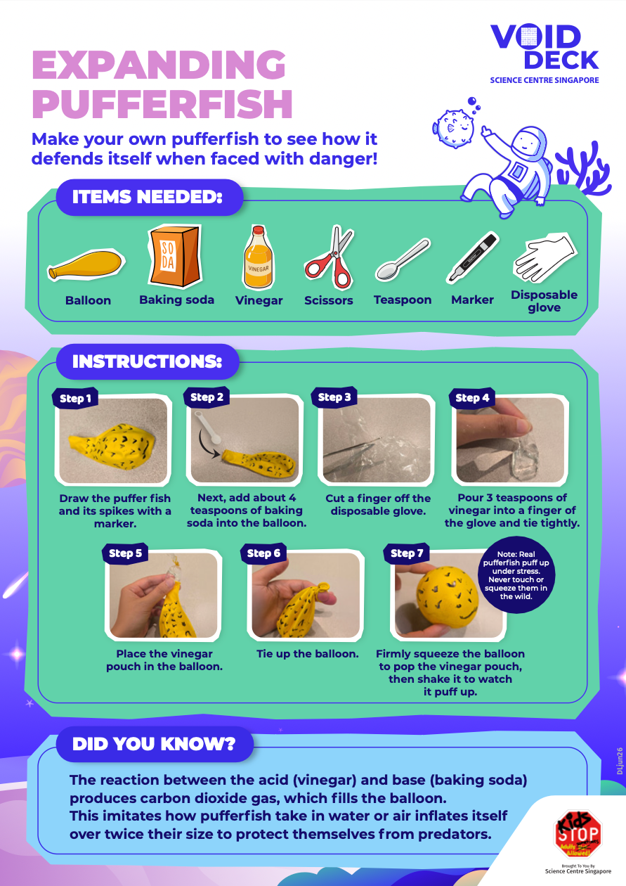 Activity sheet to making a crafted pufferfish